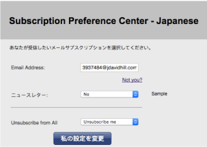 japanese-email-center-form-example